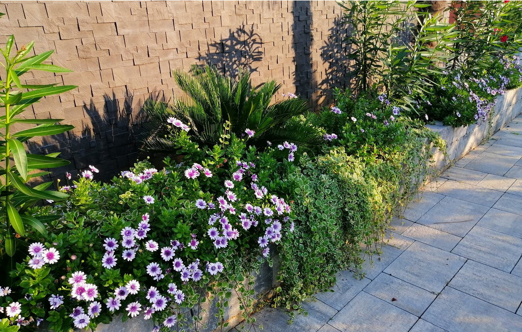 Feriehuse - Zaton-Zadar , Kroatien - CLD075 14