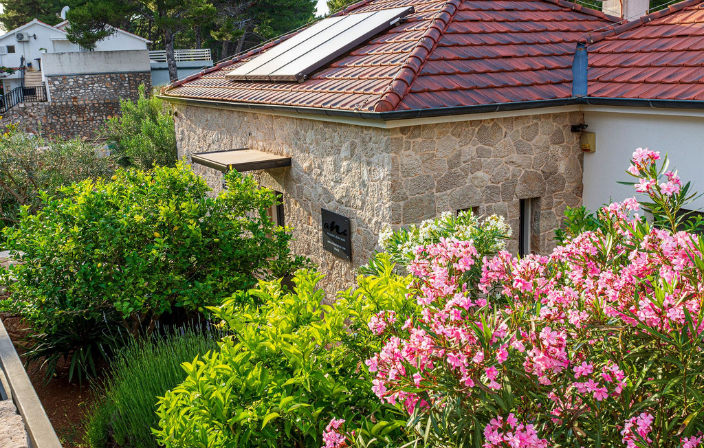Feriehuse - Hvar-Jelsa , Kroatien - CLD120 29