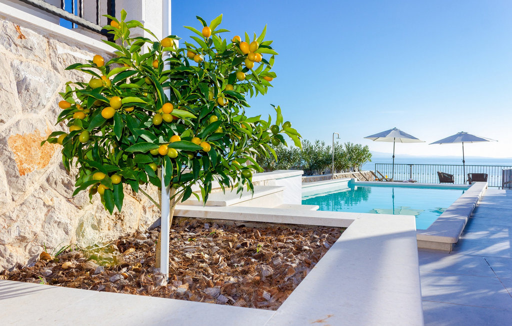 Feriehuse - Hvar-Ivan Dolac , Kroatien - CLD392 19