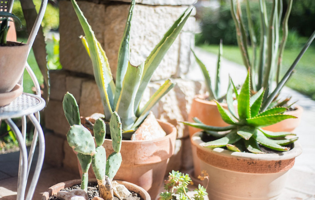 Feriehuse - Murter , Kroatien - CLD601 28