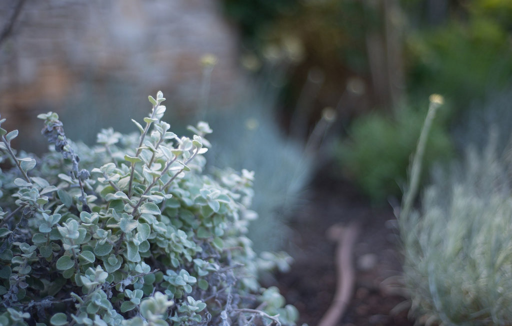 Feriehuse - Murter , Kroatien - CLD601 32