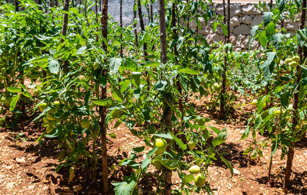 Ferienhaus - Ciovo - Okrug Gornji , Kroatien - CLD745 56