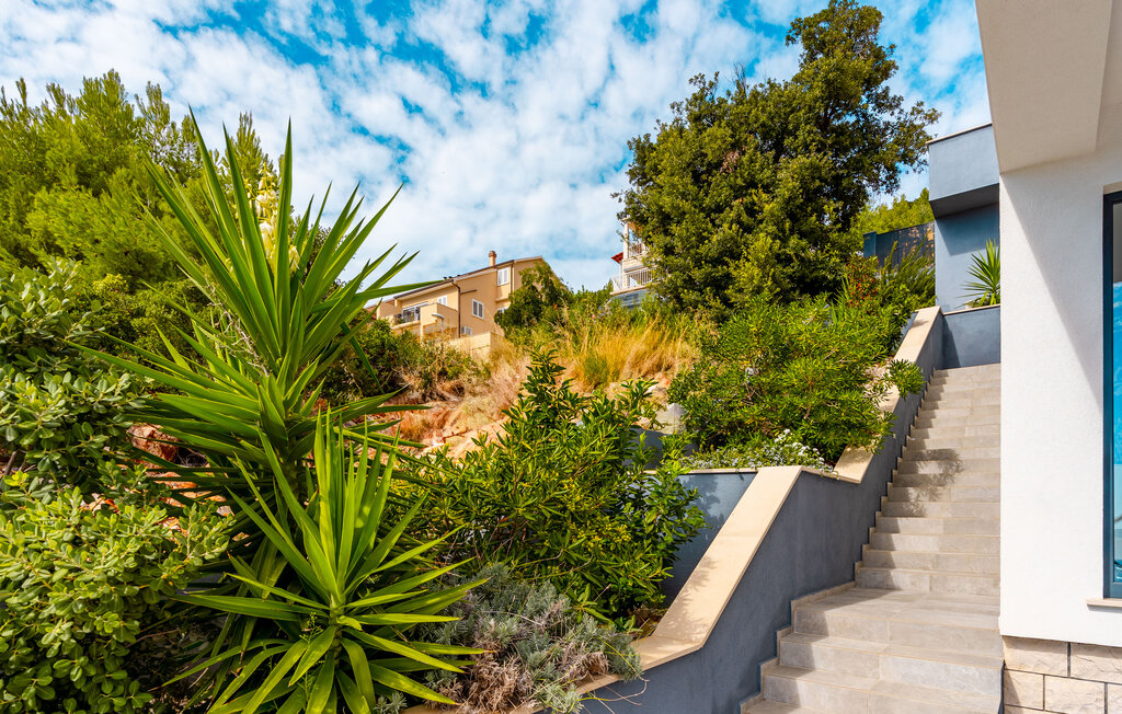 Feriehuse - Korcula-Blato , Kroatien - CLD330 19