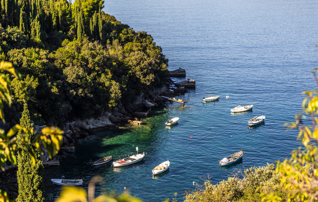 Feriehuse - Gruda , Kroatien - CLD843 26