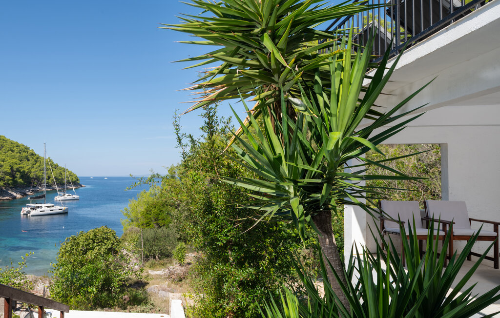 Feriehuse - Hvar-Brusje , Kroatien - CLD470 24