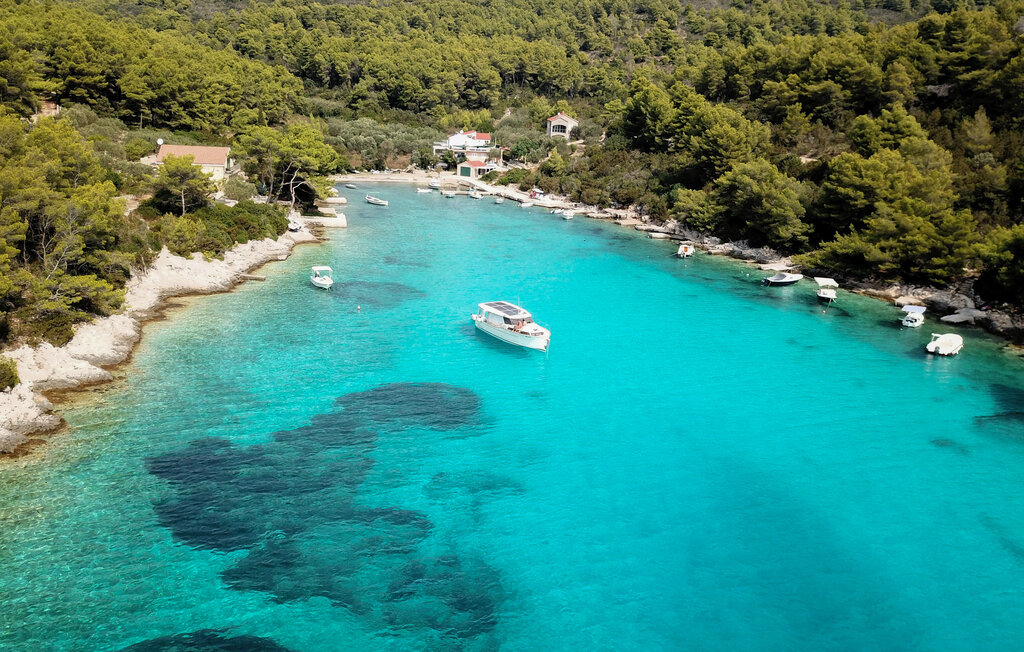 Feriehuse - Korcula-Vela Luka , Kroatien - CLD449 9