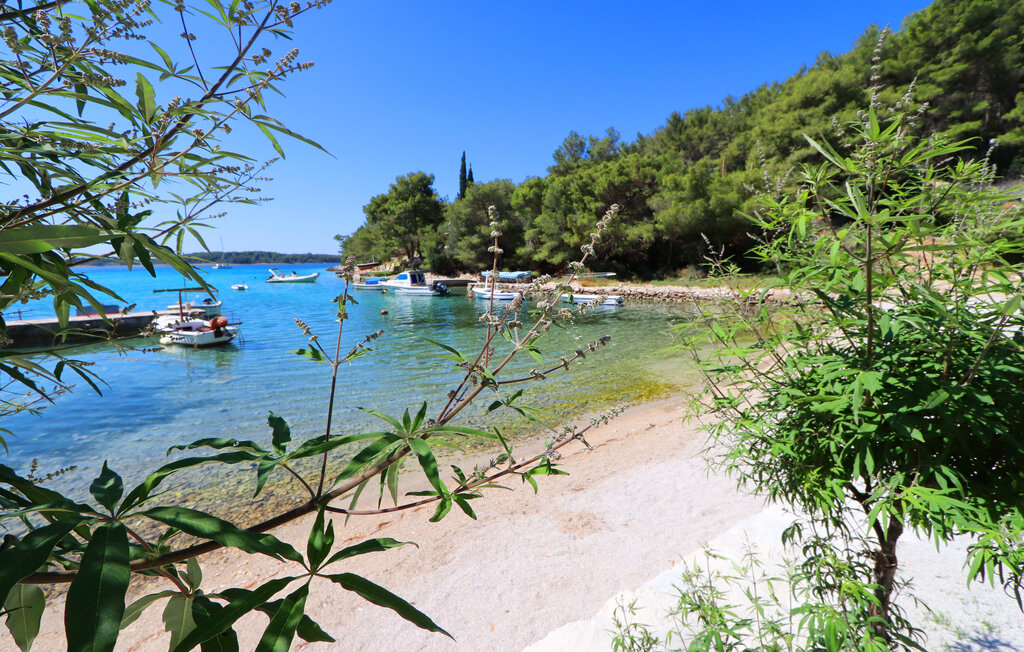 Feriehuse - Korcula-Vela Luka , Kroatien - CLD449 48