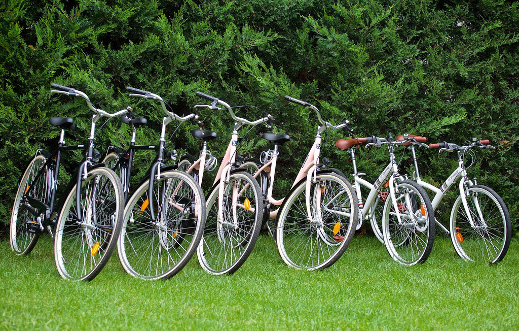 Ferienhaus - Buje-Brtonigla , Kroatien - CLI012 41