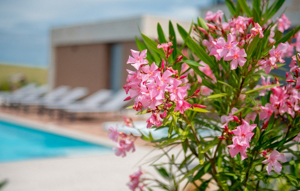 Ferienhaus - Buje-Brtonigla , Kroatien - CLI006 8