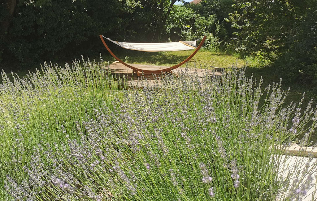 Feriehuse - Zminj , Kroatien - CLI058 15