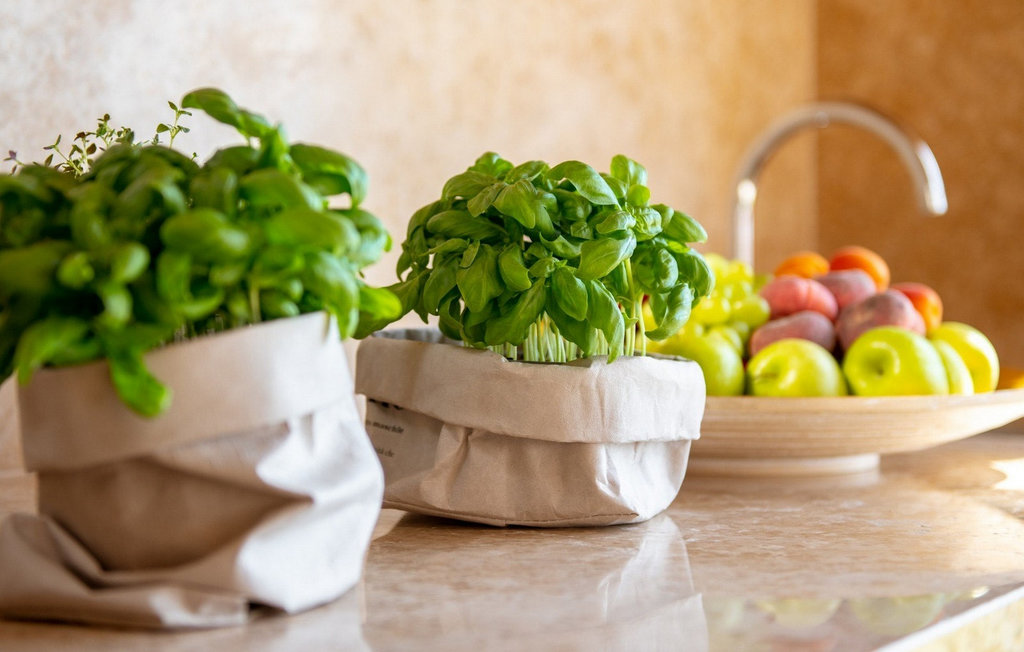 Ferienhaus - Buje-Brtonigla , Kroatien - CLI006 17