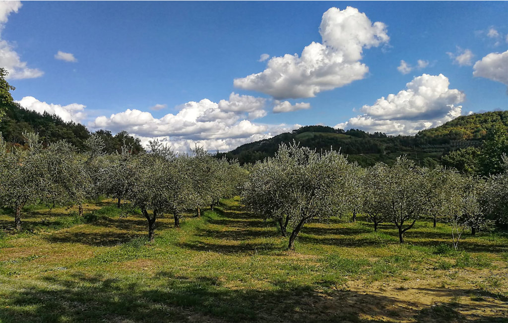 Feriehuse - Visnjan-Kastelir , Kroatien - CLI109 12