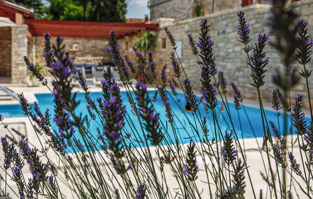 Ferienhaus - Kanfanar , Kroatien - CLI288 13