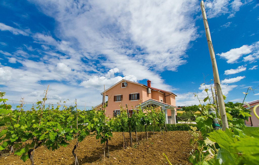 Feriehuse - Motovun-Karojba , Kroatien - CLI218 11
