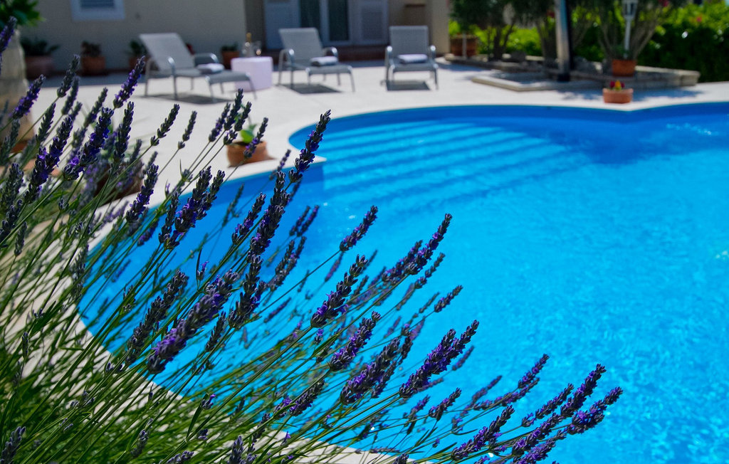 Ferienhaus - Premantura , Kroatien - CLI298 8