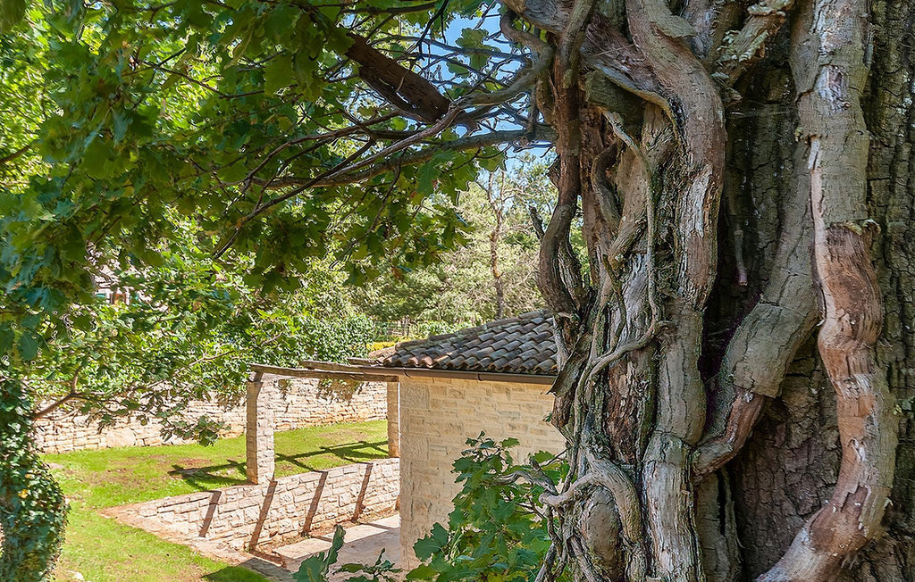 Ferienhaus - Tinjan , Kroatien - CLI479 20