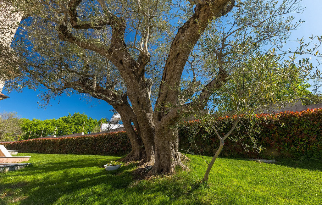 Ferienhaus - Rovinj , Kroatien - CLI822 25