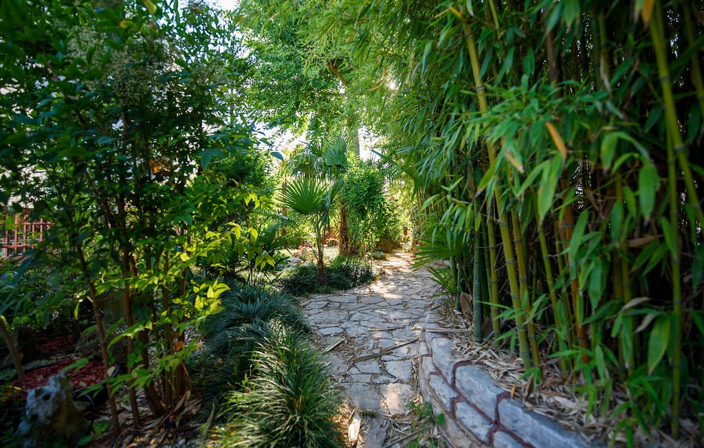 Feriehus - Pula , Kroatia - CLI269 15