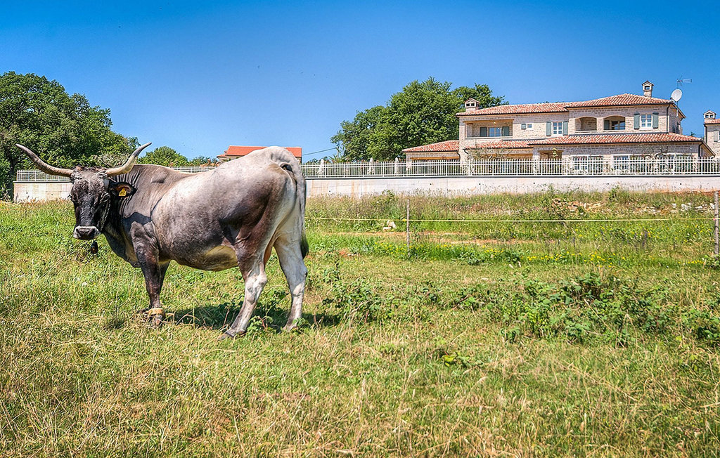 Ferienhaus - Kanfanar , Kroatien - CLI446 20