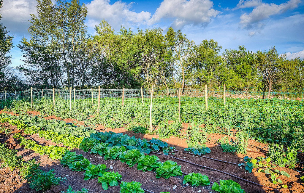 Ferienhaus - Kanfanar , Kroatien - CLI446 24