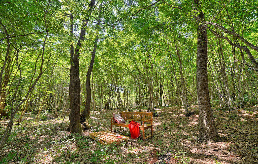 Ferienhaus - Labin , Kroatien - CLI488 23