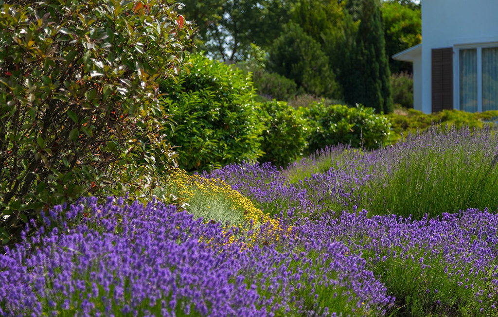 Ferienhaus - Pazin , Kroatien - CLI510 28