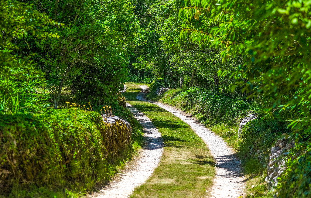 Ferienhaus - Pazin , Kroatien - CLI253 58