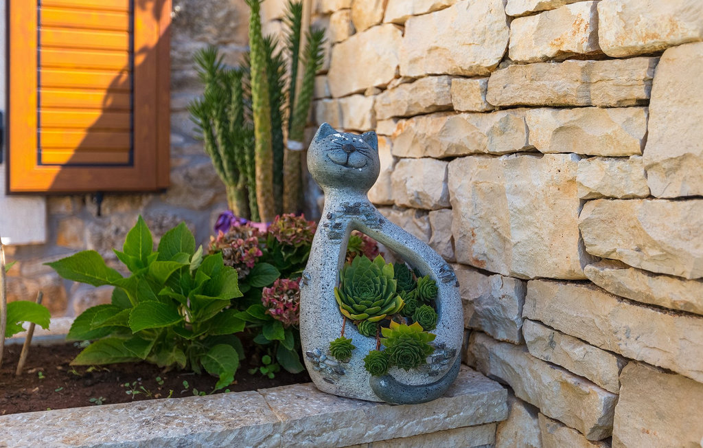 Feriehus - Kanfanar , Kroatia - CLI635 18