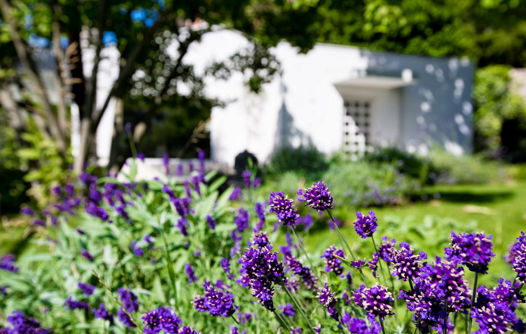 Semesterhus - Opatija-Bregi , Kroatien - CLK016 12