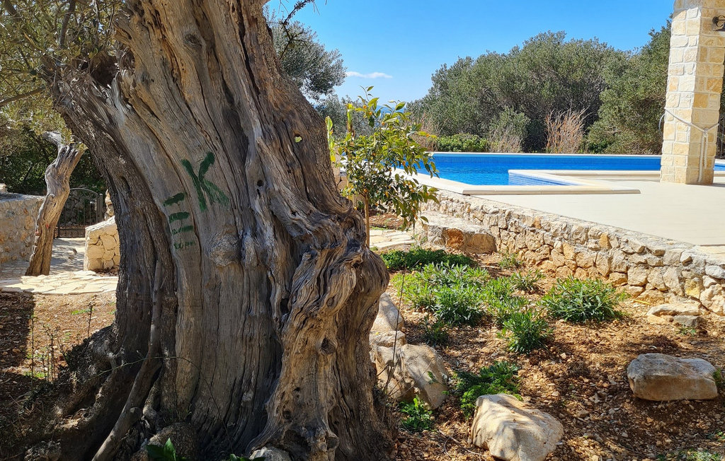 Ferienhaus - Jakisnica , Kroatien - CLK026 13