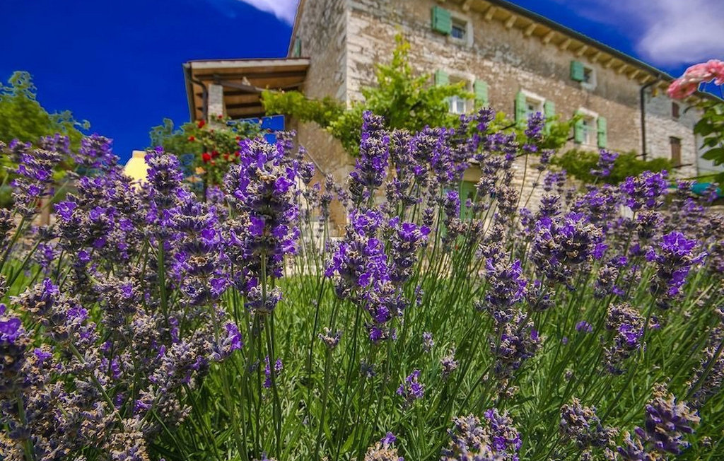 Ferienhaus - Groznjan , Kroatien - CLS145 23