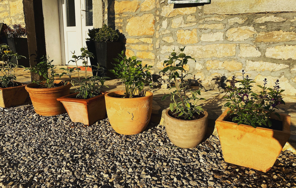 Ferienhaus - Labin , Kroatien - CLS582 21