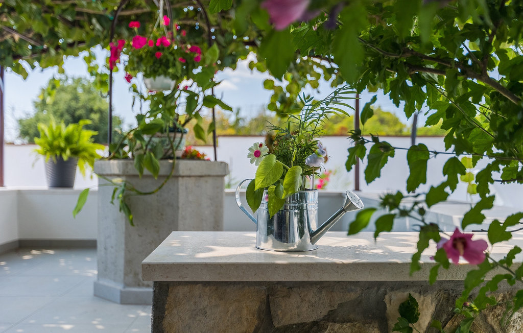 Kuća-za-odmor - Barban , Hrvatska - CLS271 23