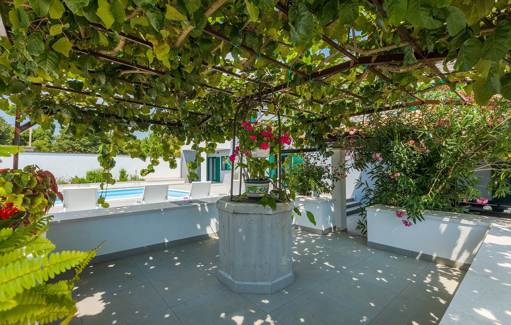 Kuća-za-odmor - Barban , Hrvatska - CLS271 24