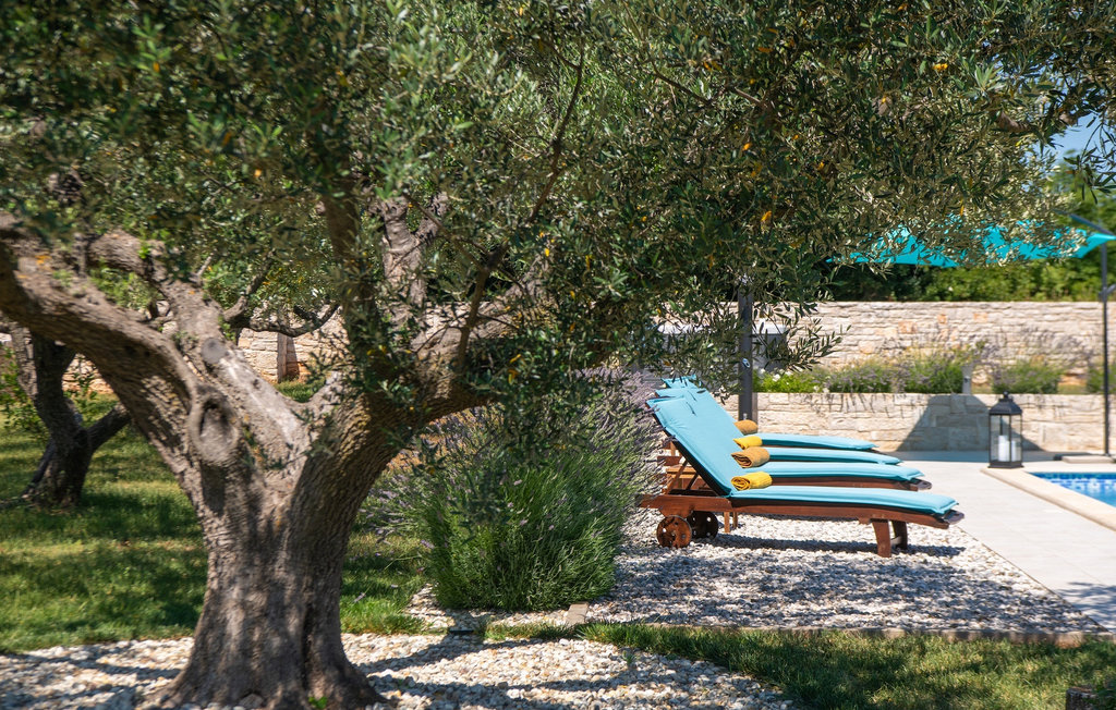 Feriehus - Pula , Kroatia - CLS656 27