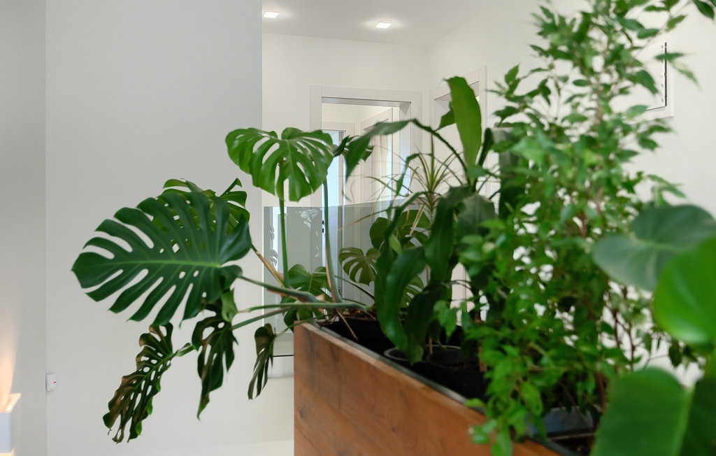 Feriehuse - Pula , Kroatien - CLS666 38