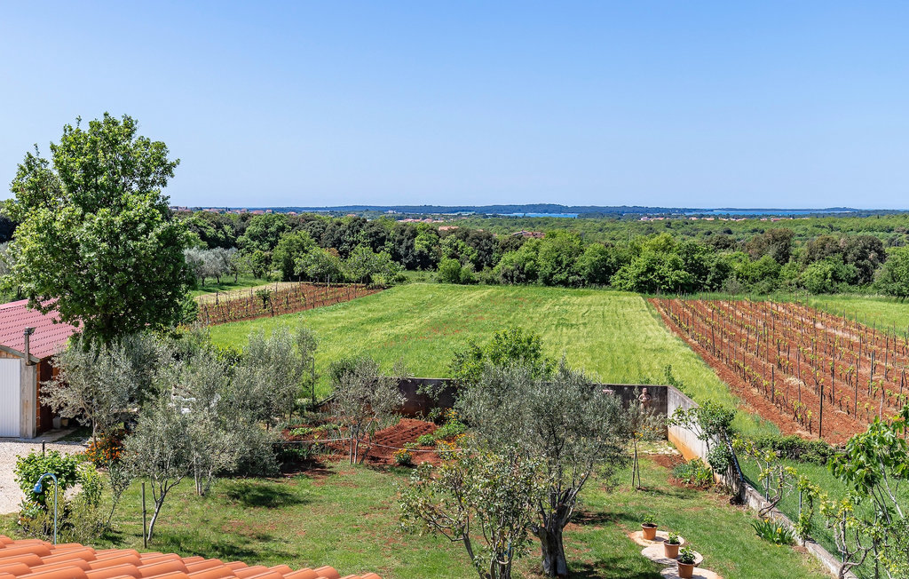 Domy wakacyjne - Pula , Chorwacja - CLS684 21