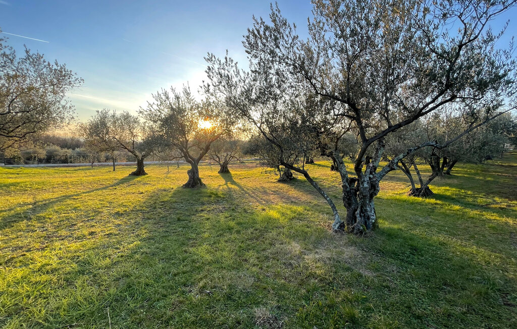 Feriehuse - Visnjan-Porec - Kastelir , Kroatien - CLT283 34