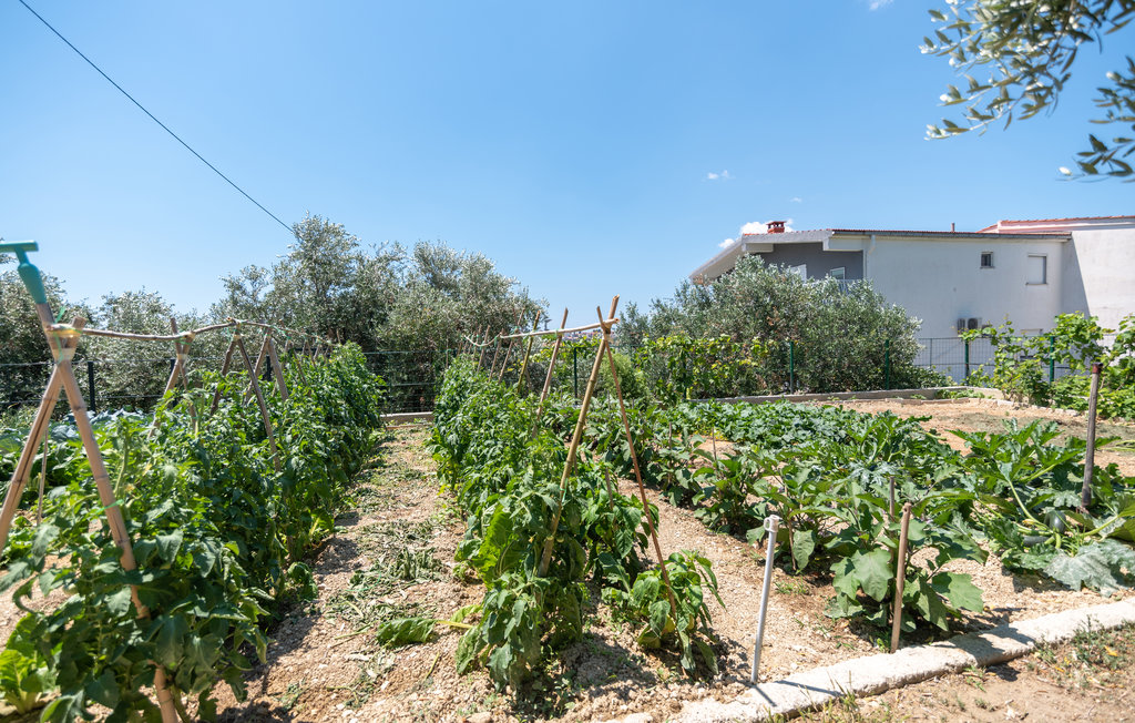 Feriehuse - Split-Zrnovnica , Kroatien - CSC190 20