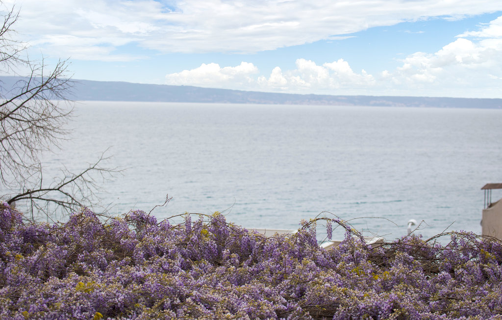 Lejlighed - Split - Podstrana , Kroatien - CSC174 17