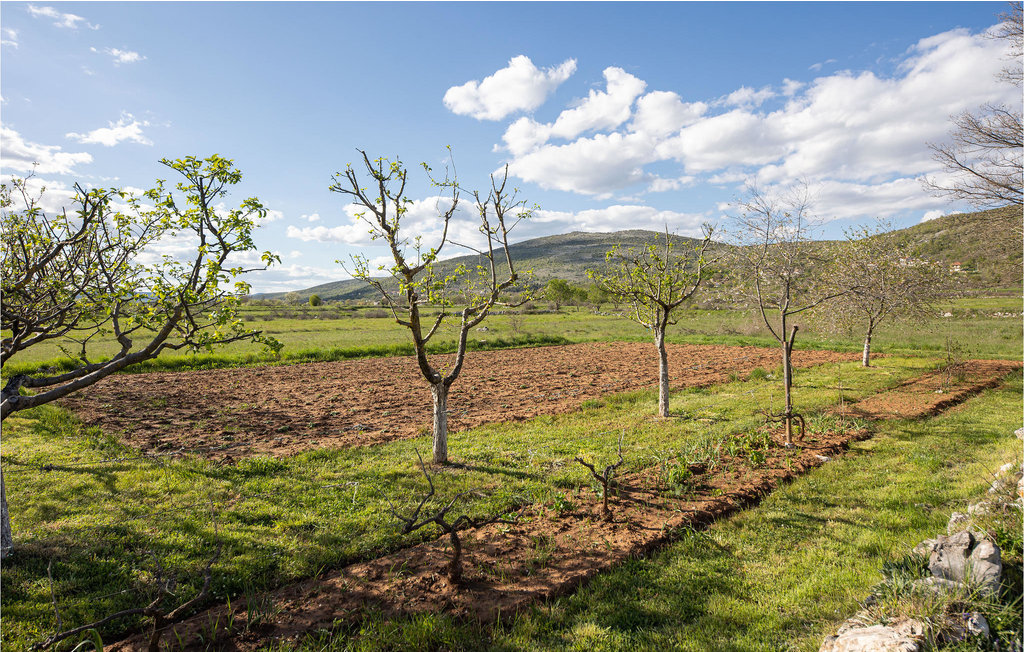 Feriehuse - Split - Bisko , Kroatien - CSC244 16