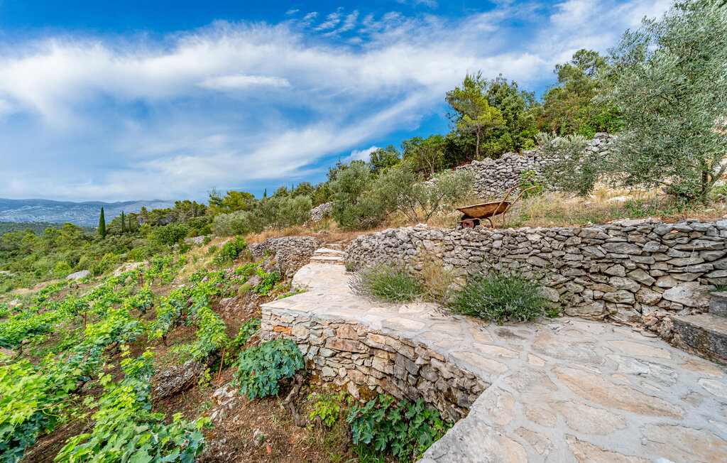 Feriehuse - Korcula-Zrnovo , Kroatien - CSC607 18