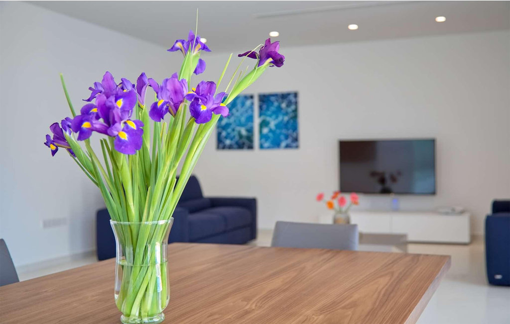 Semesterhus - Protaras , Cypern - CYP450 15