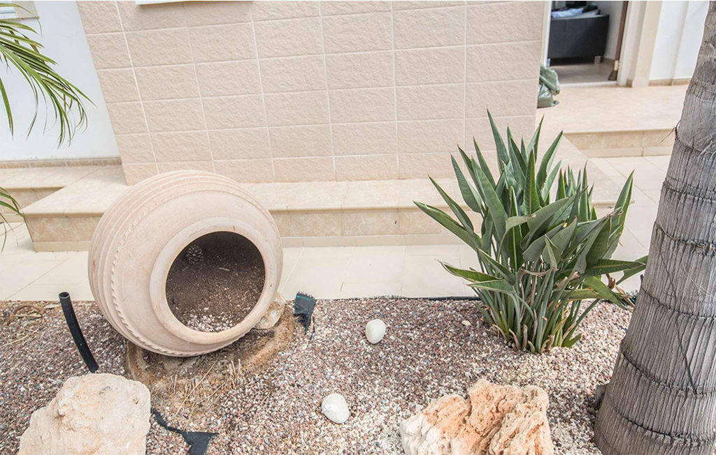 Feriehuse - Protaras , Cypern - CYP497 14