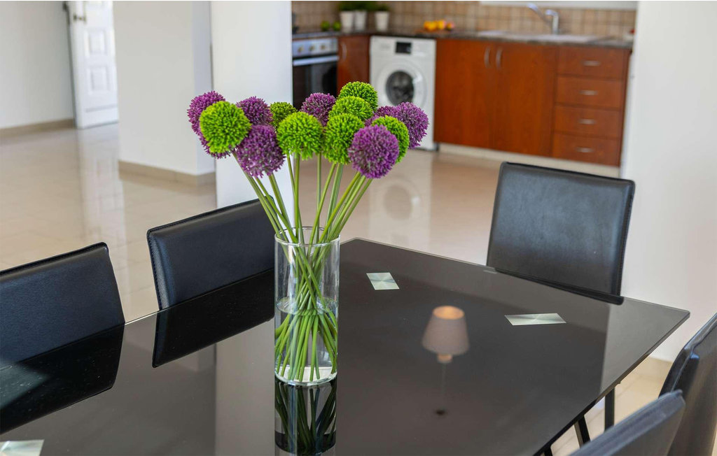 Semesterhus - Latchi , Cypern - CYP583 45