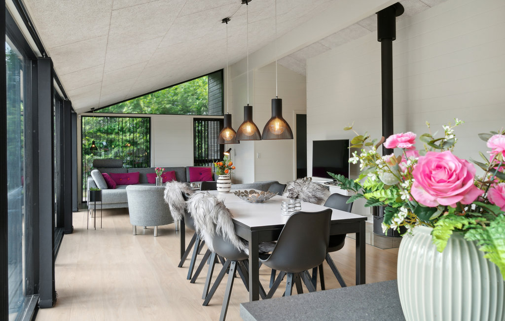 Feriehuse - Ahl Strand , Danmark - D01016 12