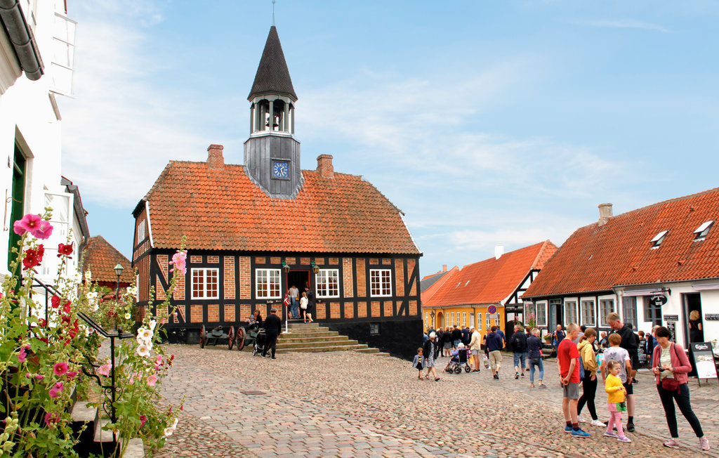Feriehuse - Ebeltoft , Danmark - D02013 35