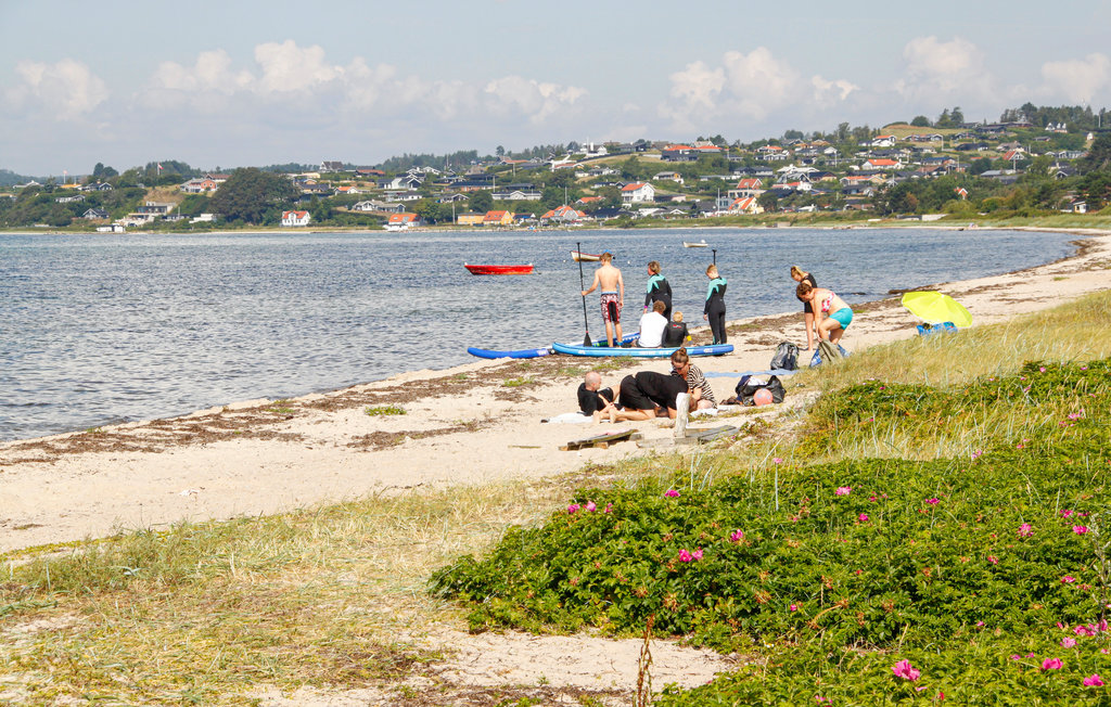 Ferienhaus - Ebeltoft , Dänemark - D02113 30