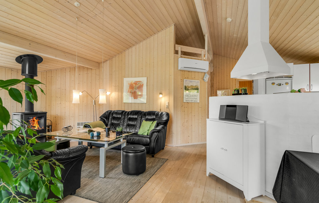 Ferienhaus - Ebeltoft , Dänemark - D02785 5