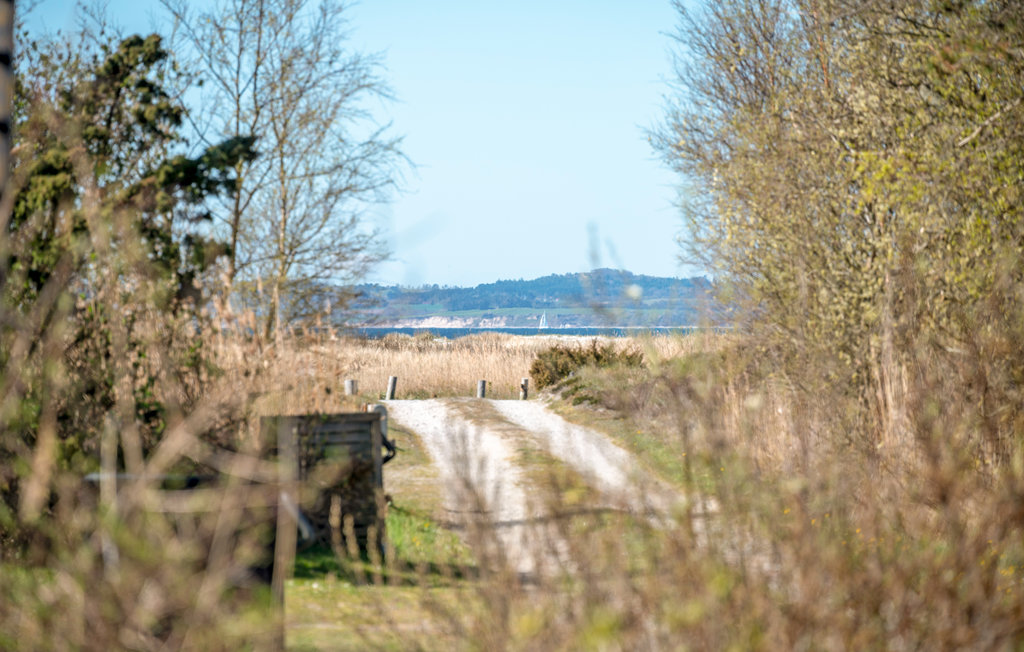 Ferienhaus - Øer Strand , Dänemark - D04566 15